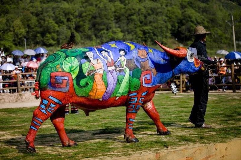 Buffalo Body-Painting Competition, China