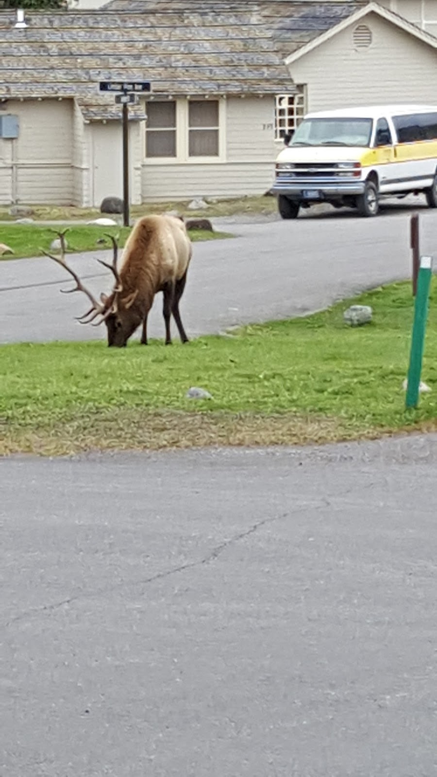 OUR NEWELL ADVENTURE Wild life......