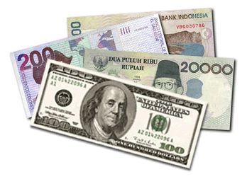 Forex world branches