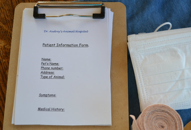 children's vet kit