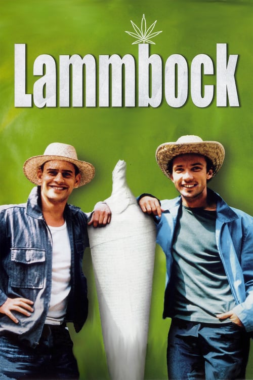 [VF] Lammbock 2001 Streaming Voix Française