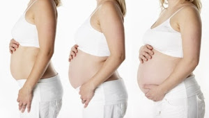 Fase Tiga Trimester Kehamilan Pada Ibu Hamil 