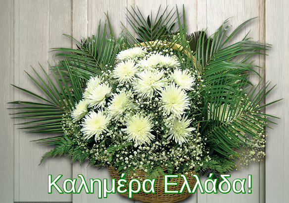 Καλήμερα Ελλάδα! Ομορφιά του χειμώνα, christmas flowers.
