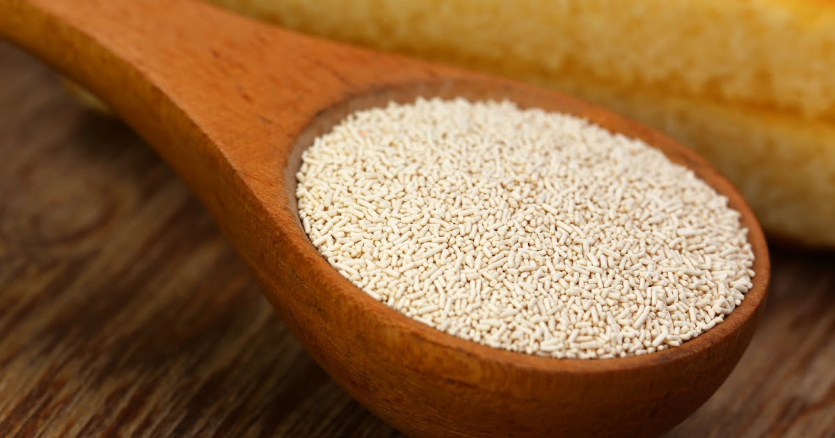 Havencrest MicroBrewery™ Workhorse Beer Yeast Equivalent Chart (Wyeast