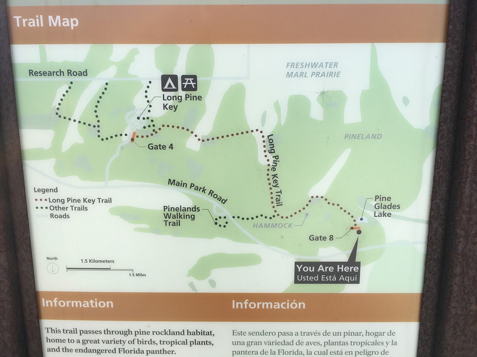 Chuck's Adventures Biking Florida's Long Pine Key Trail