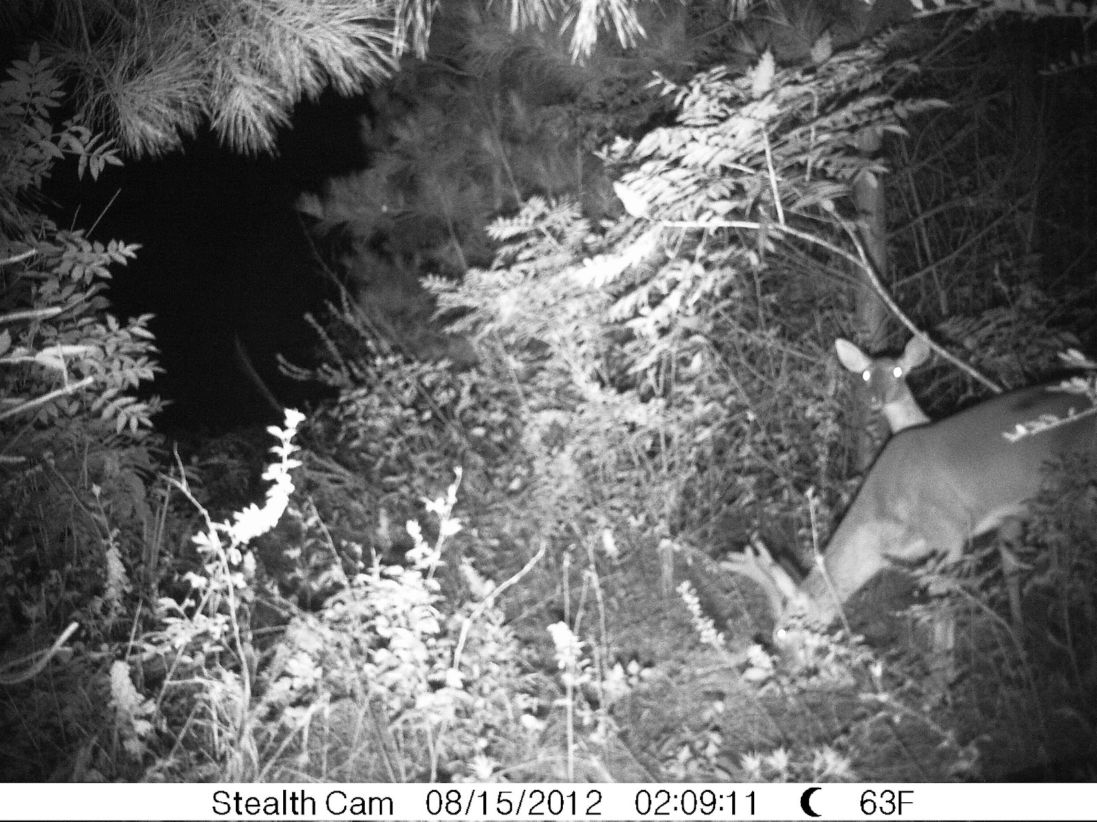 Autauga Creek Hunting Club August 2012