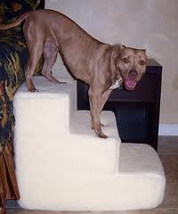 escadas para cães