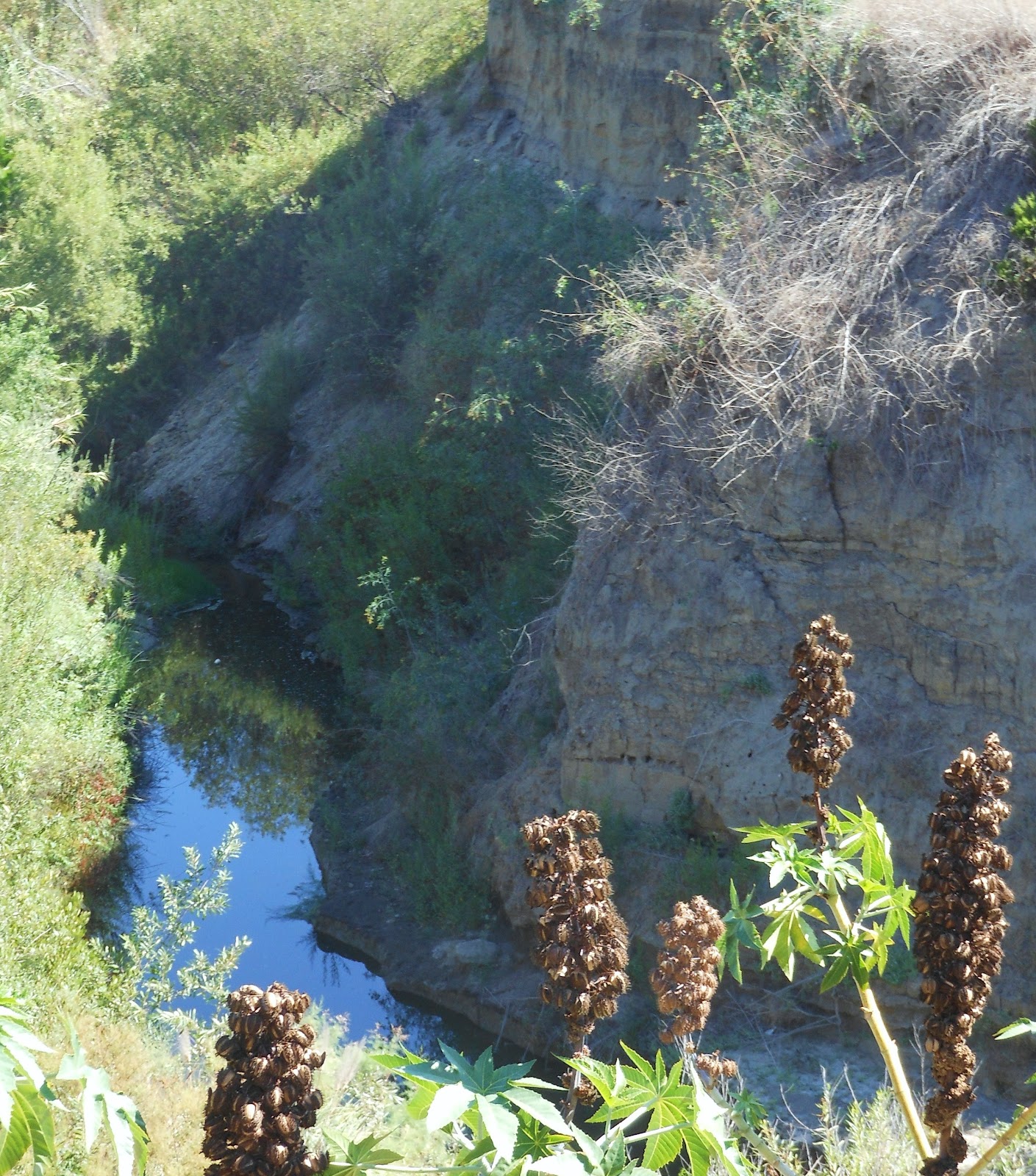 1000 Hikes in 1000 Days Day 655 Rancho Capistrano Eagles Soccer