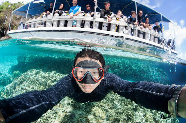 Scuba Diving, Underwater Photography, Learn Scuba, Paparazsea