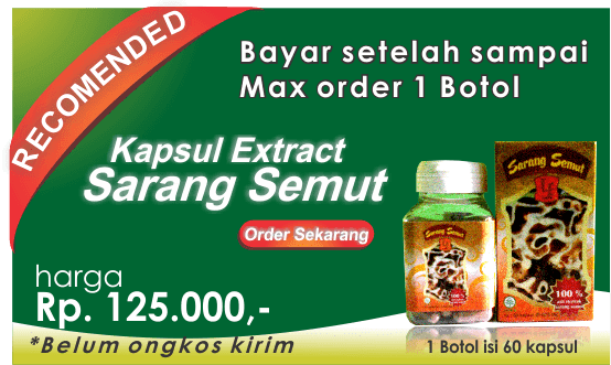 Obat Herbal Maag Kronis