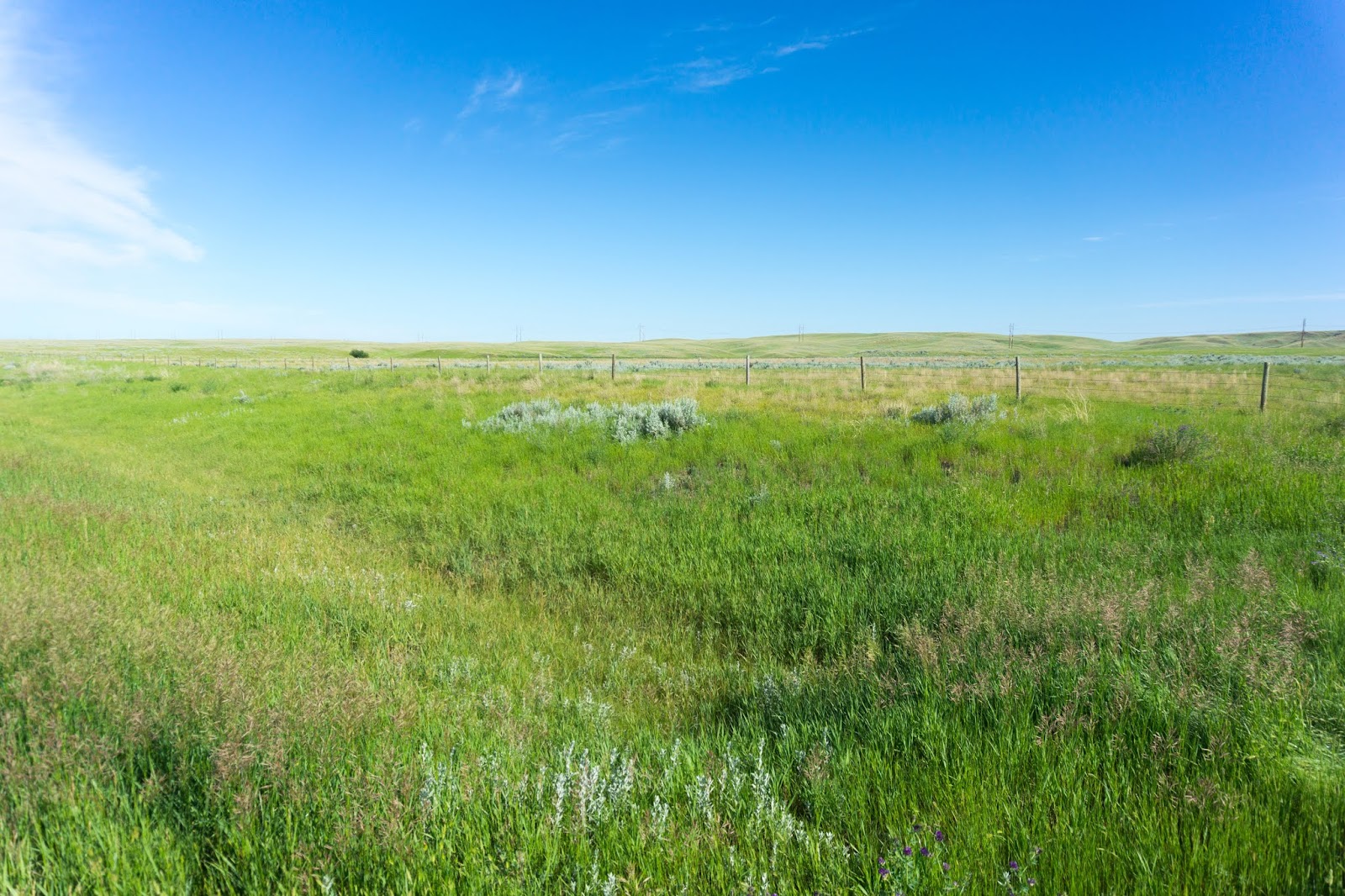 Boston to Seattle 2018 Day 53 Malta,MT to Havre,MT