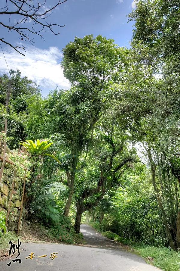 鳥瞰桃園盆地景點|五十份山登山步道