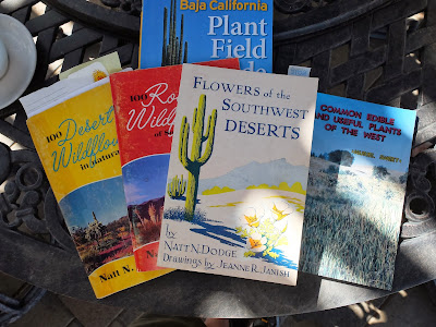 Books including on Flowers of the Southwest Deserts by Dodge and Janish. A page on Pluchea sericea.