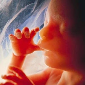 Scientists Link Autism To These Toxic Chemicals During Fetal Development
