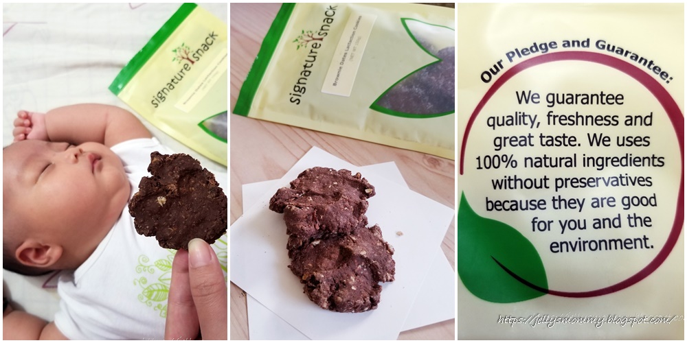 A little bit of Everything Brownie Dates Lactation Cookies (Signature
