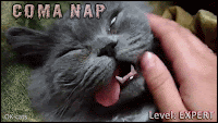 Art cat GIF with caption • Exhausted cat during his coma nap. Level: EXPERT