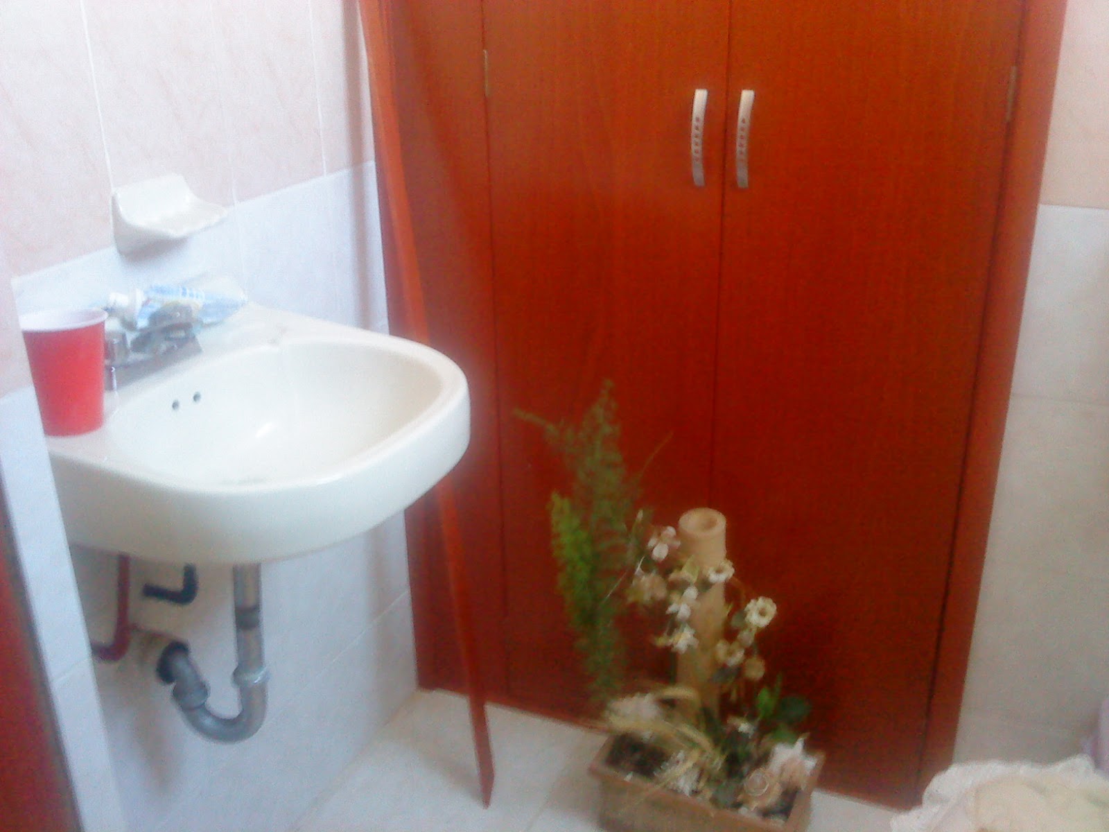 Cocinas integrales y closets.: Armario para medio baño.