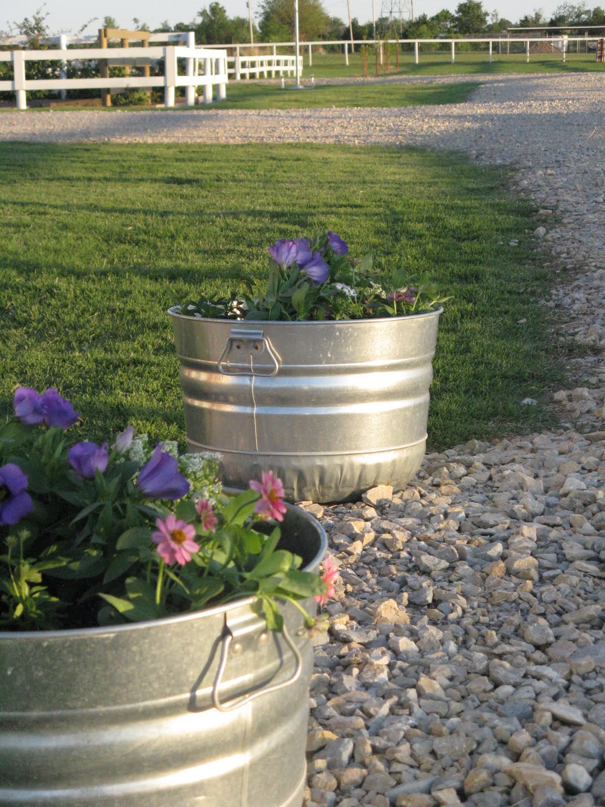 Flowers in feed buckets