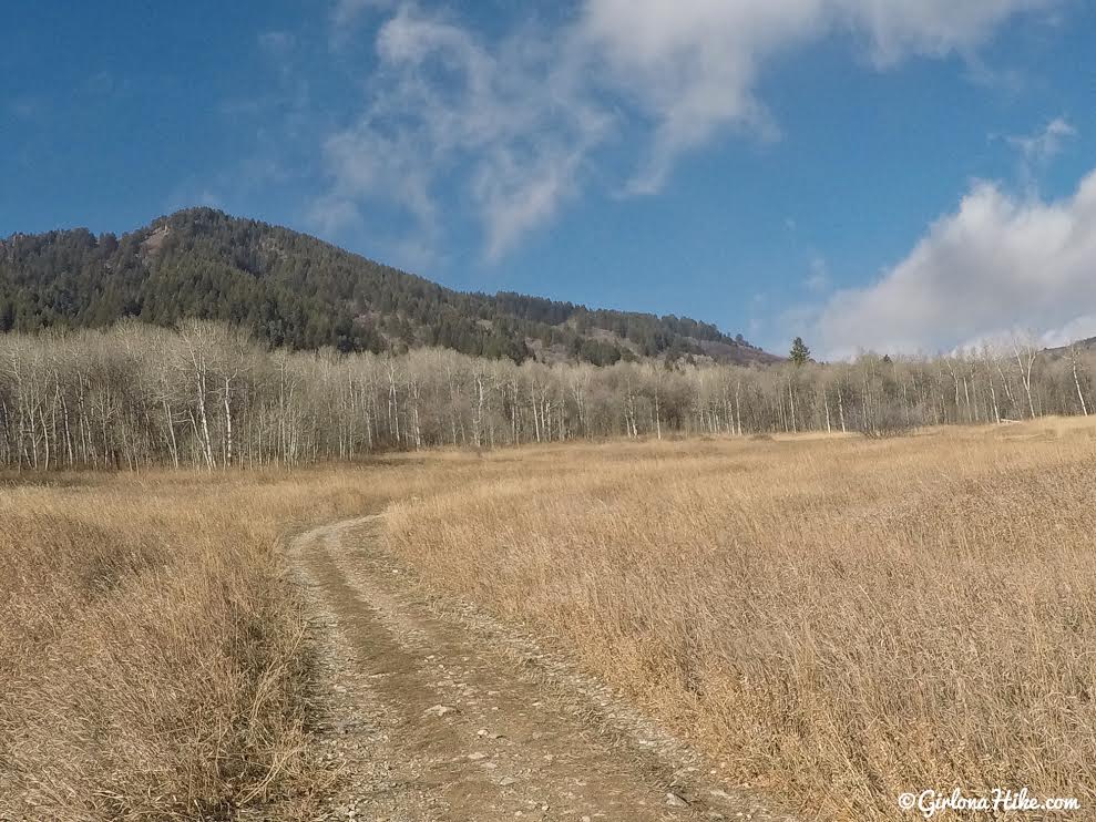 Hiking the Sardine Peak Loop, Snowbasin Girl on a Hike