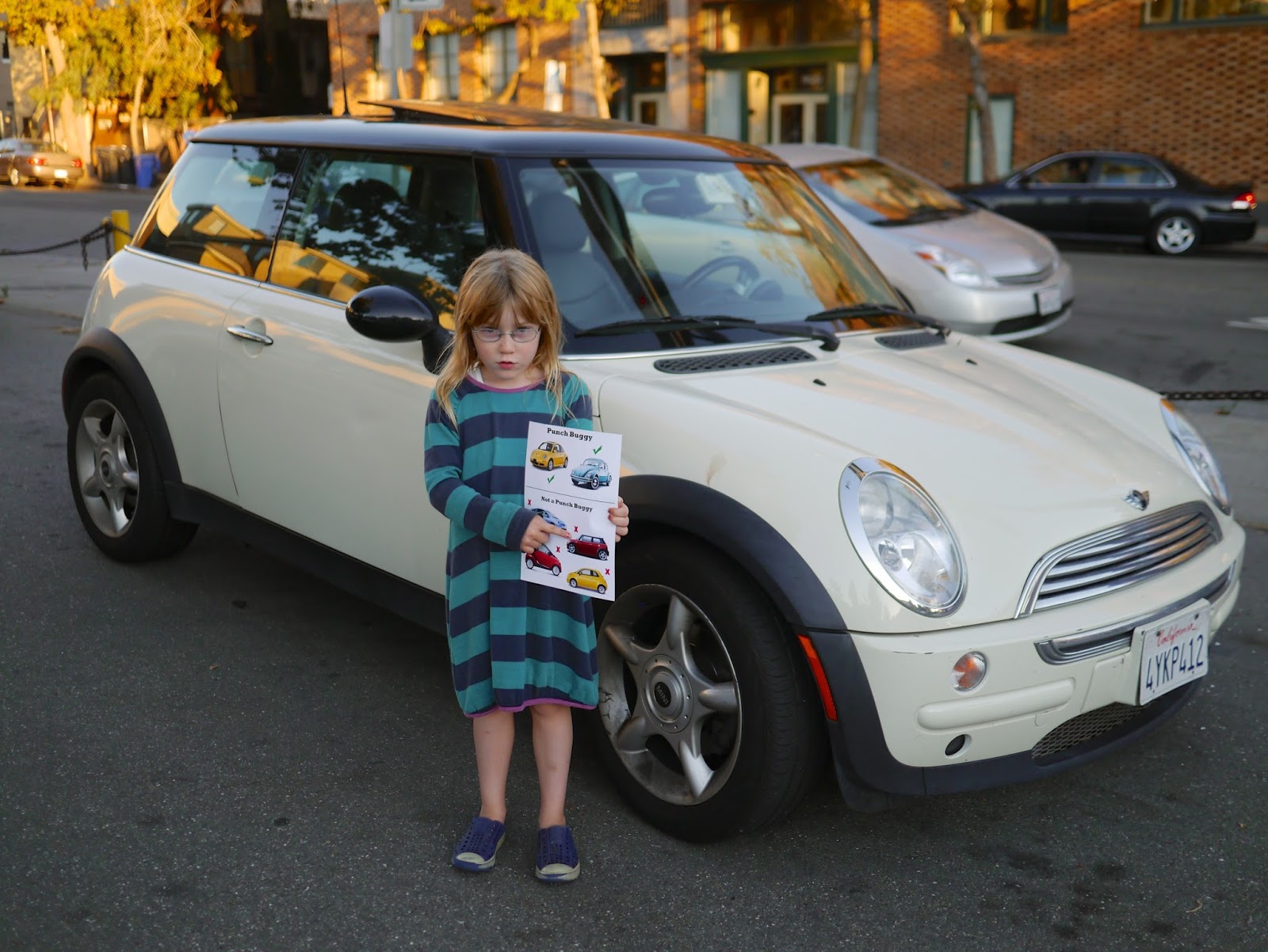 Little Hiccups Punch Buggy Field Guide