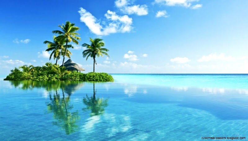 Top Terbaru Zoom Island Background