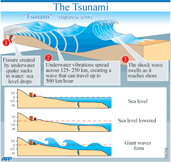 Tsunamis World Health Organization WHO