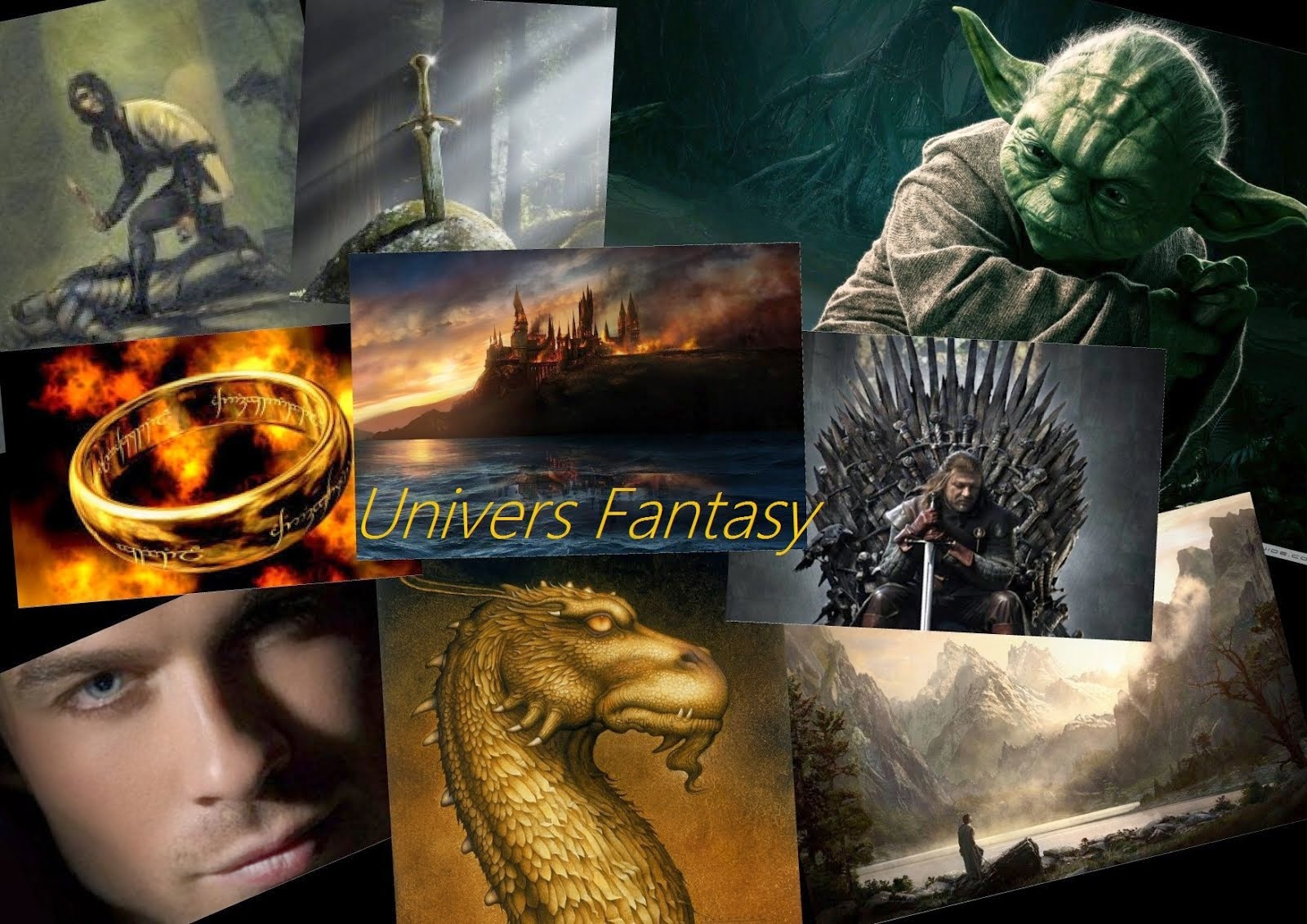 Univers Fantasy: L'Assassin Royal, tome 11 : Le Dragon Des Glaces