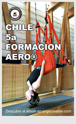 aerial yoga, aero yoga, air yoga, alliance, argentina, Brasil, chile, columpio, fitness, fly, flying, formacion, pilates, rafael martinez, santiago, teacher training, viña del mar. valparaiso, YOGA, yoga aereo