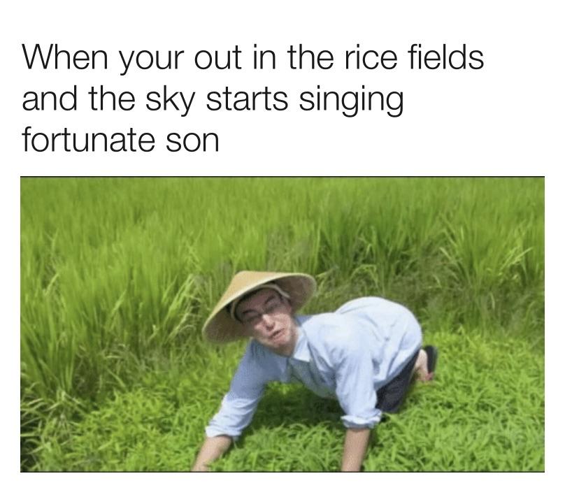 When you're out in the rice field and the sky starts singing fortunate son