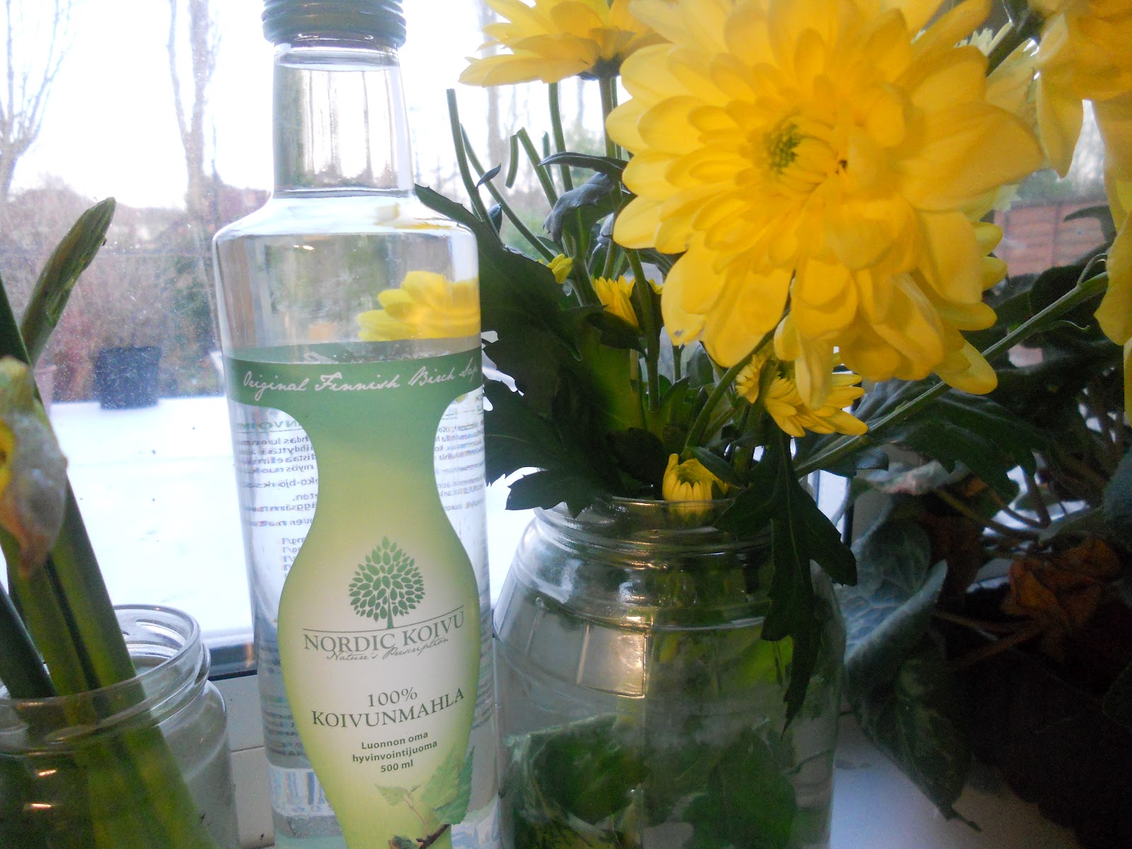 Finnish Birch Sap the new aloe vera juice?