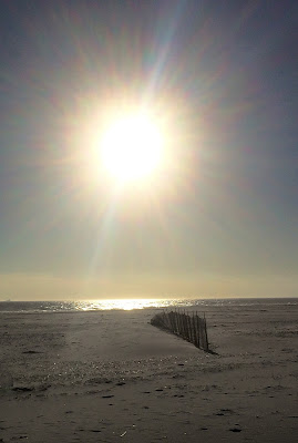 Gone To The Beach: Happy New Year!