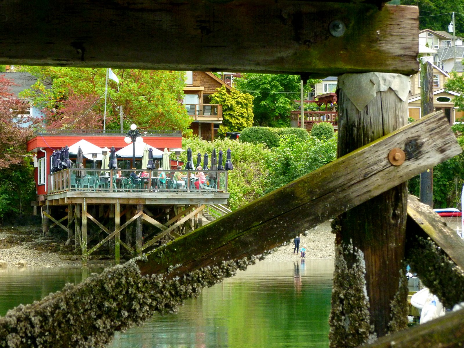 My Panoramio Google Earth Pictures Brentwood Bay Lowtide Snapshot