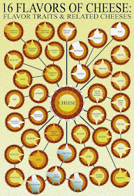 Infographic flavors of cheese