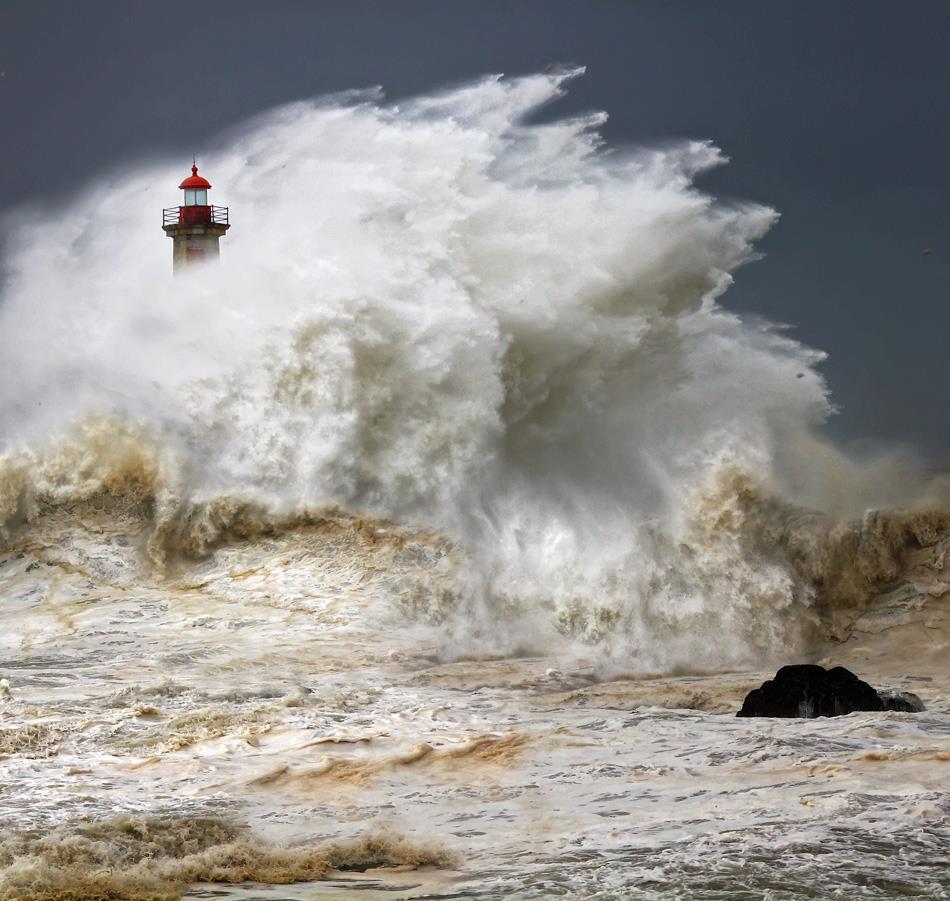 cosas que nunca te dije: LA GRAN EMBESTIDA