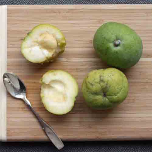 Zapote blanco (Casimiroa edulis) Frutas del mundo