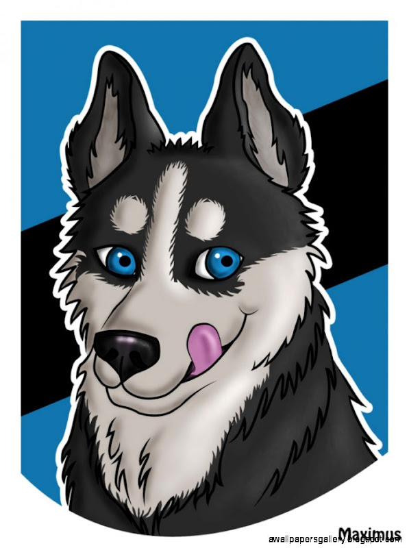 Cute Husky by yamimaximus on DeviantArt