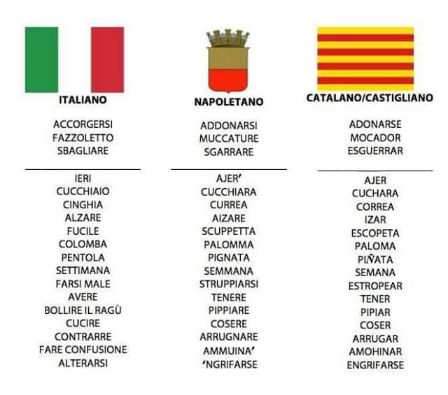 Catalano o Castigliano? Scopri le differenze, i certificati ufficiali di  Spagnolo e le opportunità per Italiani in Spagna