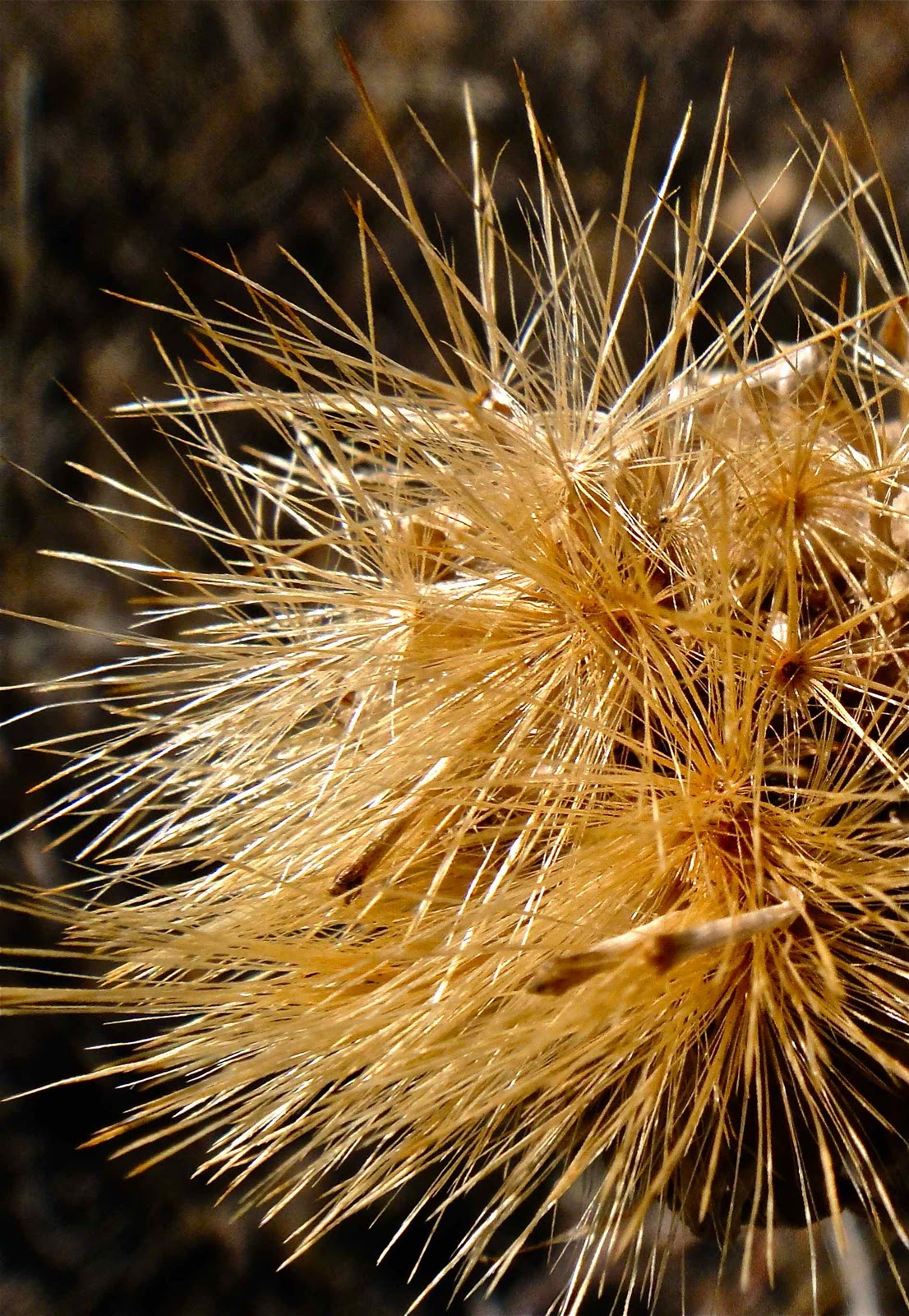 Poetry Of Spirit And Light Let There Be Light