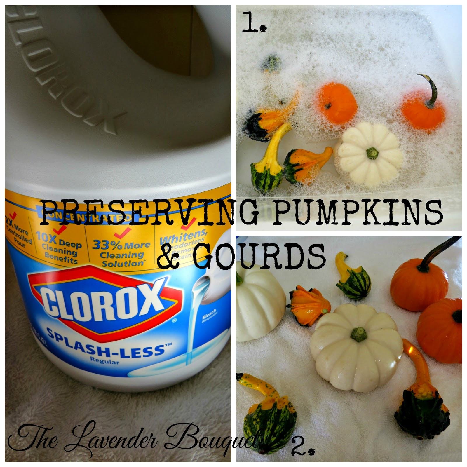 The Lavender Bouquet PRESERVING PUMPKINS & GOURDS