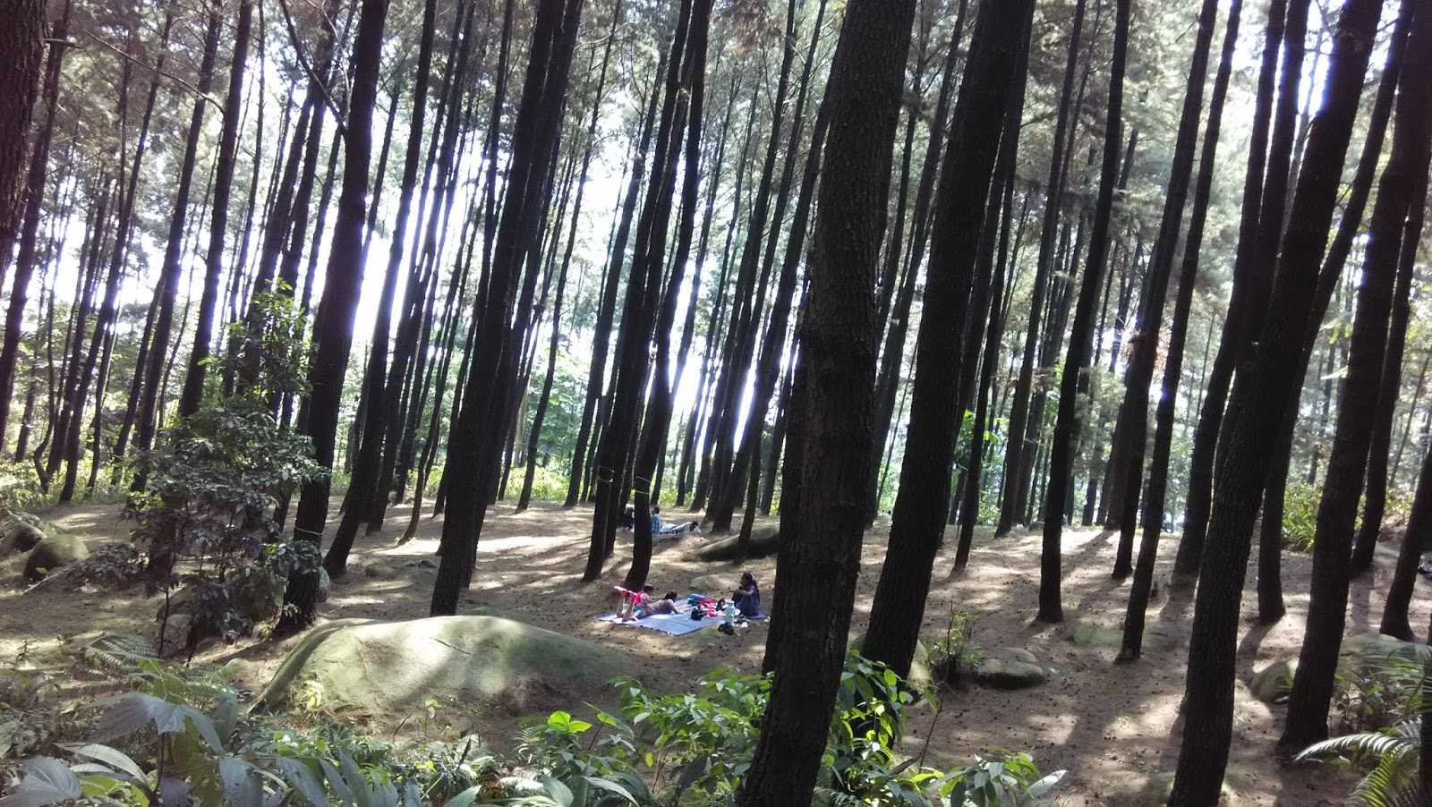 grantnsaipan Taman Patung Dan Bambu Ecoartpark
