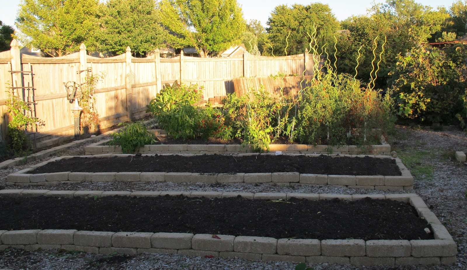 Guest Post Vegetable Garden Update