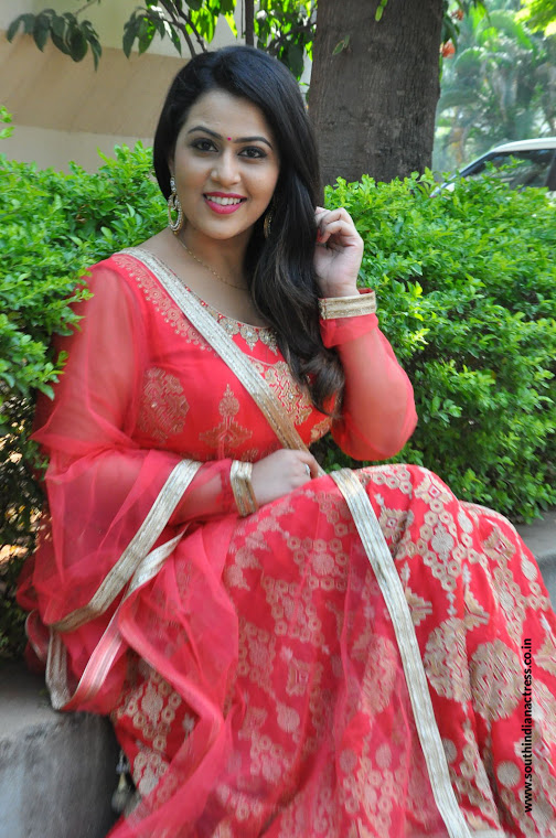 Diana Champika at Indrasena Movie Interview