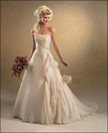 Elegant wedding dresses Simple template