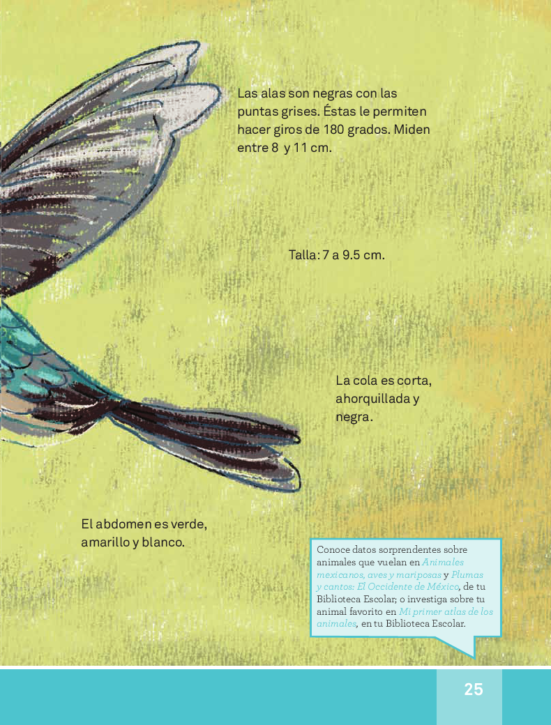 El colibrí - español lecturas 3ro 2014-2015