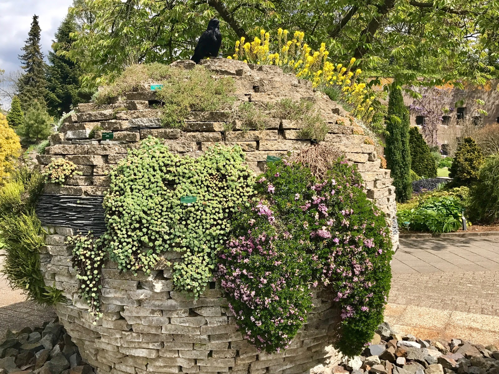Pin by Owly Byrd on Alpine Garden | Amazing gardens, Rock garden