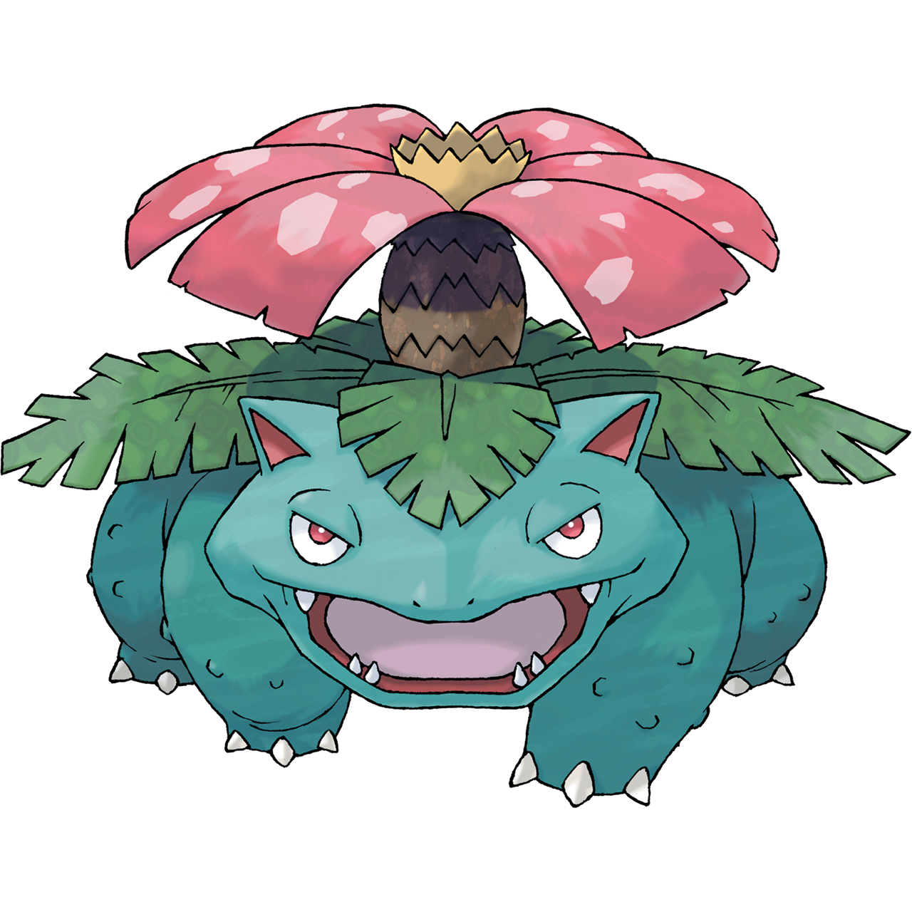 XnálYse Venusaur