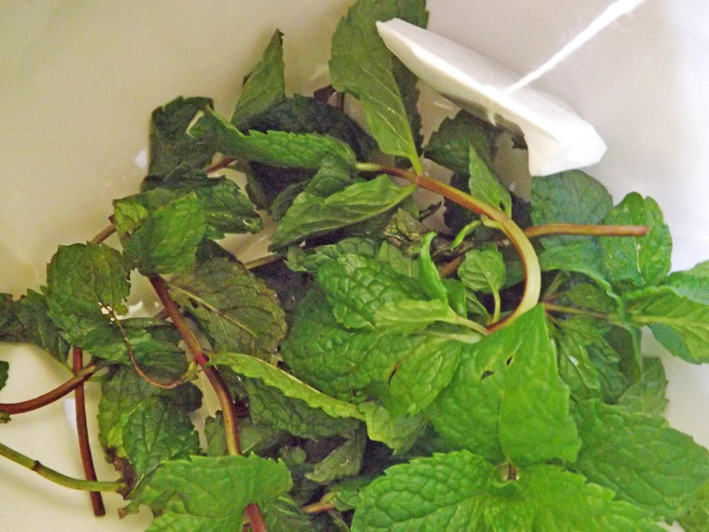 MARIETTE'S BACK TO BASICS {USEFUL TIP Peppermint Tea for Anti Bloating}