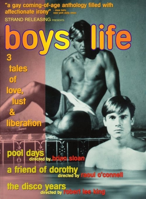 Descargar Boys Life: Three Stories of Love, Lust, and Liberation 1994 Blu Ray Latino Online