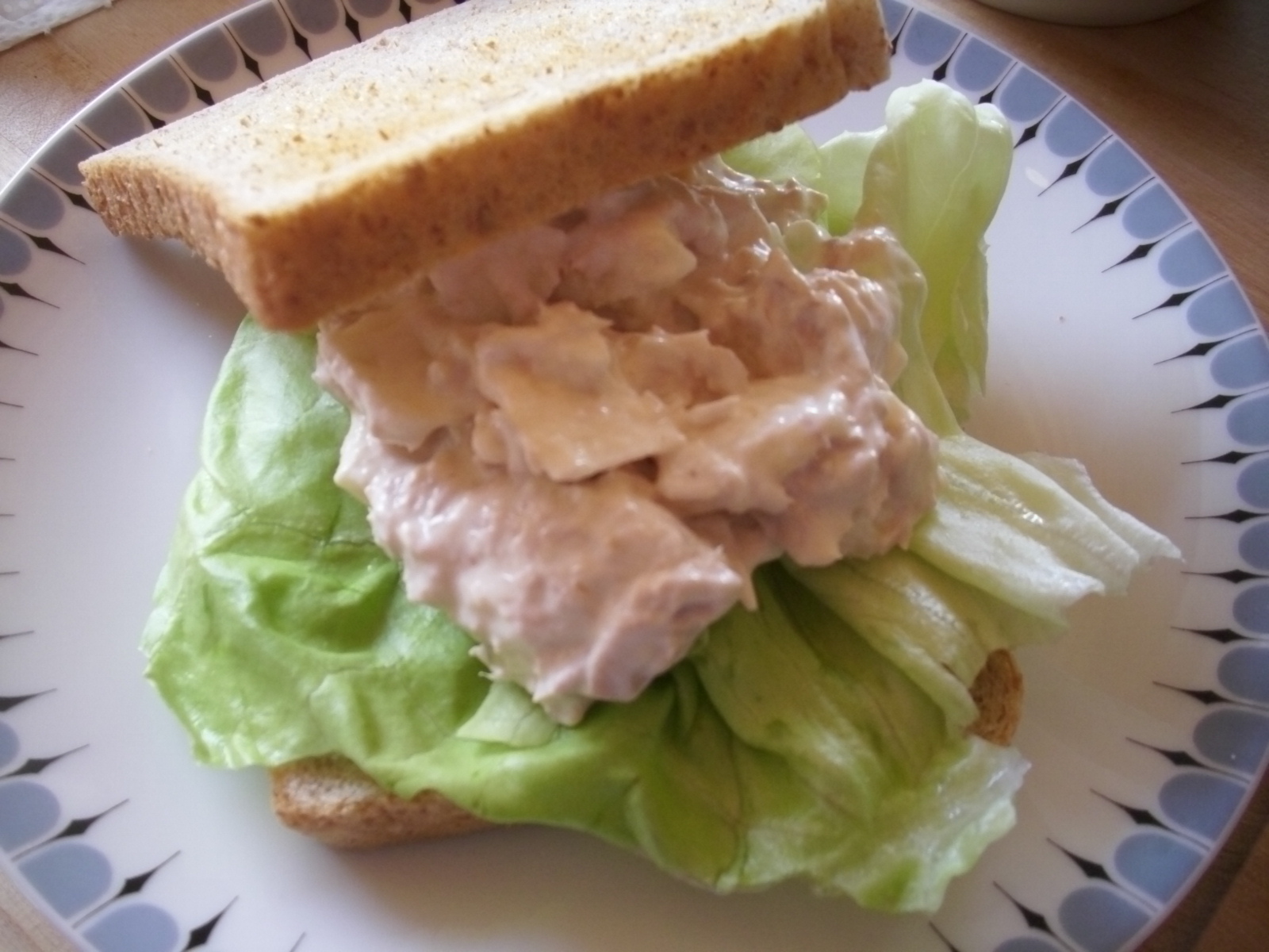 Home Worked Tuna and Apple Sandwich