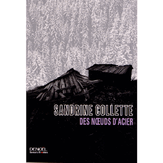 nœuds d'acier Sandrine Collette